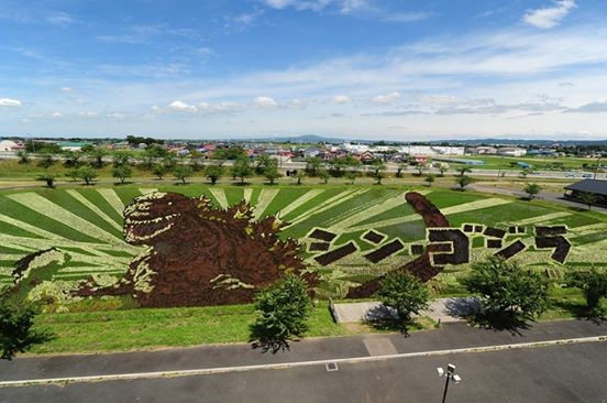 Visto en Japón: Godzilla en un arrozal!