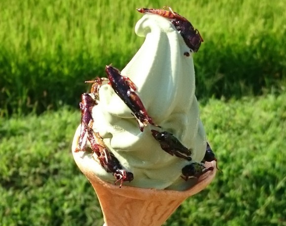 Visto en Japón helado con insectos!