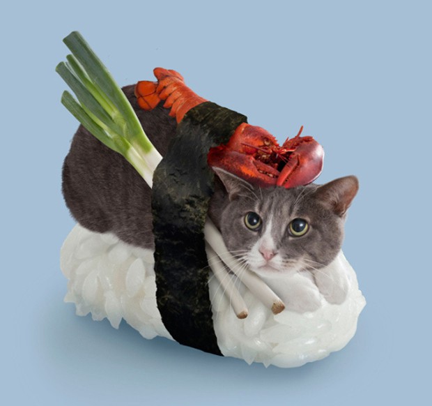 gato-sushi-japonshop-05.jpg