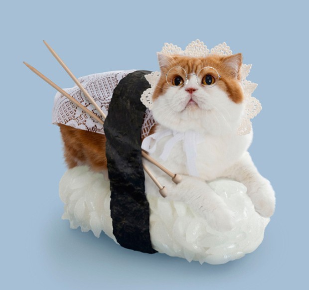 gato-sushi-japonshop016.jpg