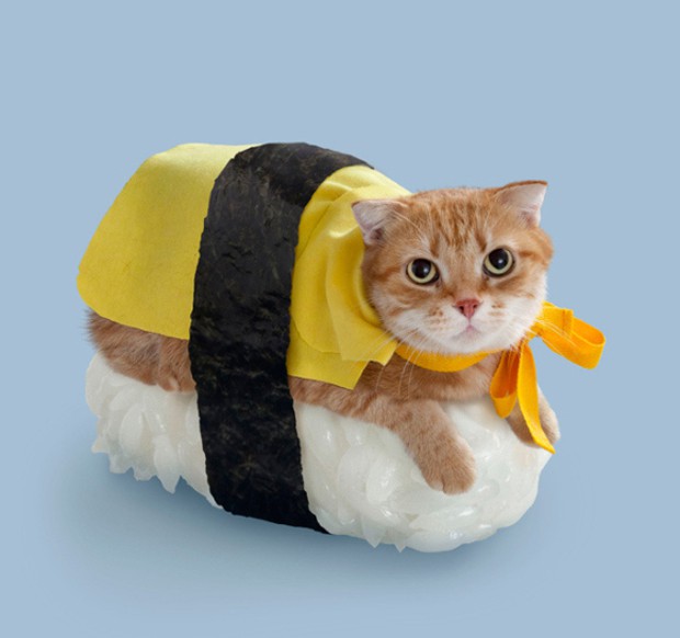 gato-sushi-japonshop018.jpg