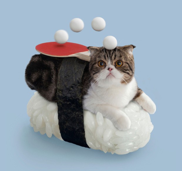 gato-sushi-japonshop08.jpg