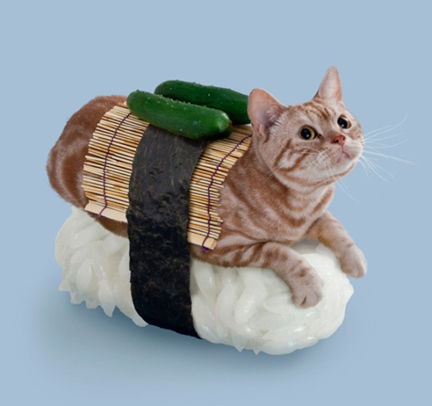 gato-sushi-japonshop14.jpg