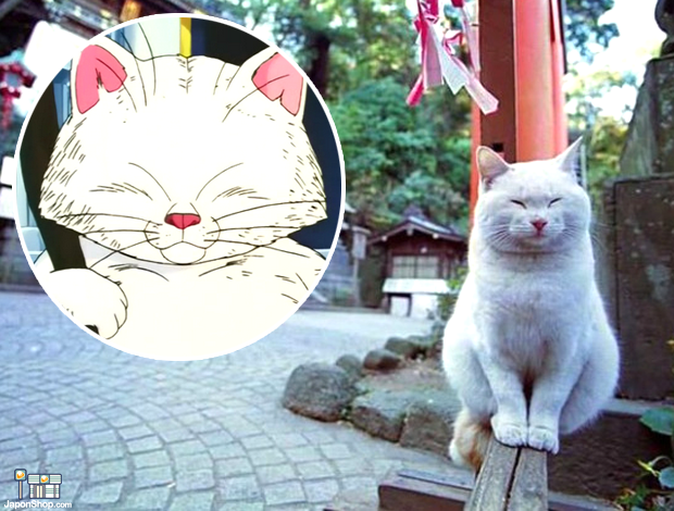 korin-gato-dragon-ball-japonshop.png