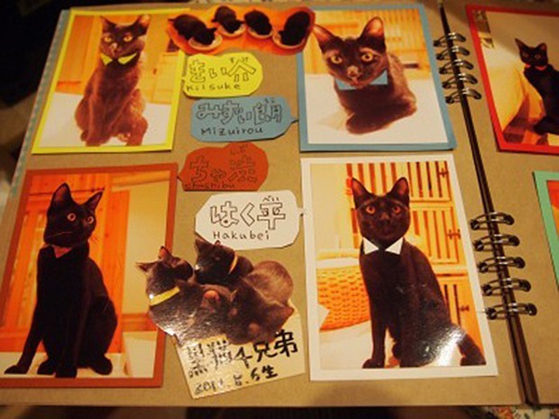 cafeteria-japon-gatos-negros-japonshop07.jpg