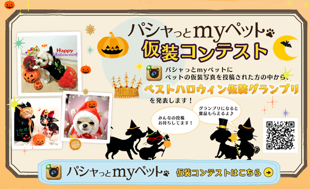 halloween-mascotas-japon-japonshop012.png