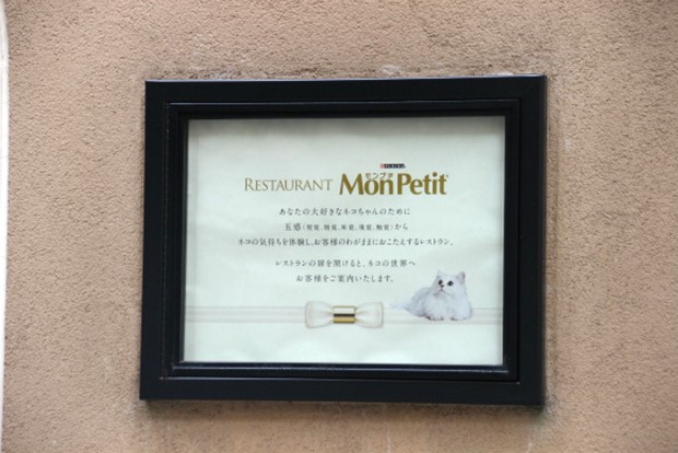 restaurante-comida-para-gatos-japon-japonshop016.jpg