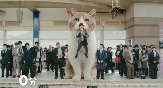 gato-bus-japon-japonshop03.jpg