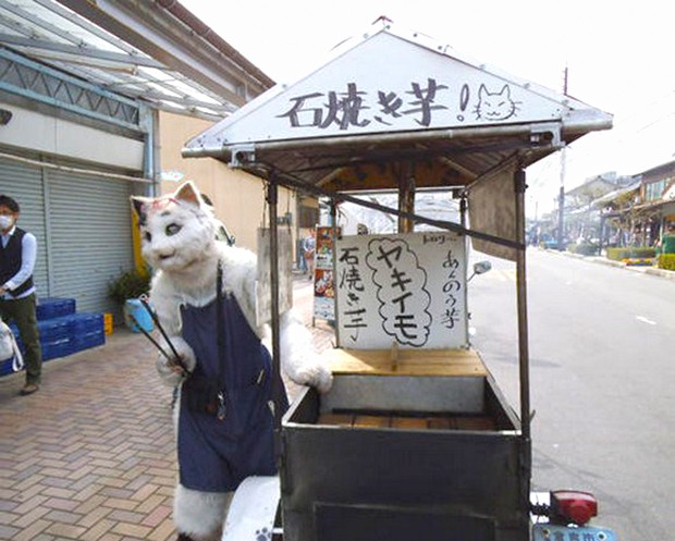 gato-japon-vendedor-boniatos-japonshop.jpg