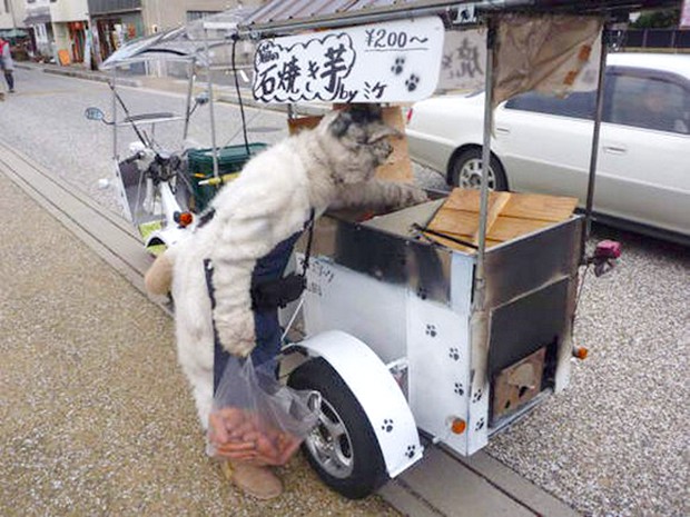 gato-japon-vendedor-boniatos-japonshop03.jpg