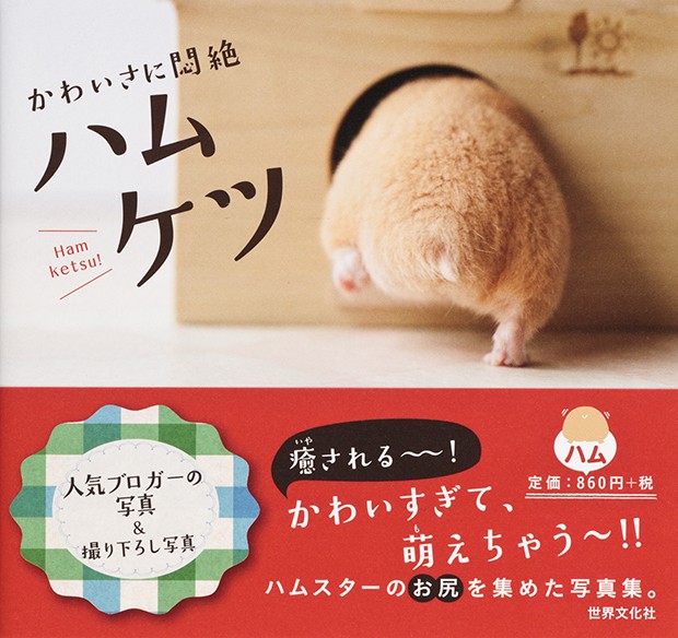 culo-hamster-japon-japonshop09.jpg