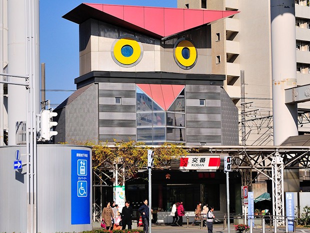 owl-koban-chiba-big.jpg