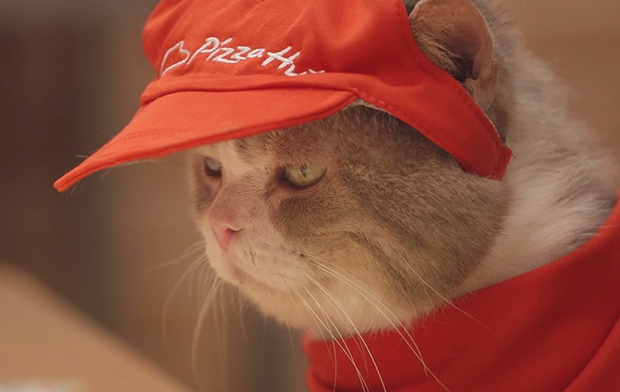 gatos-pizza-hut-japon-japonshop02.png