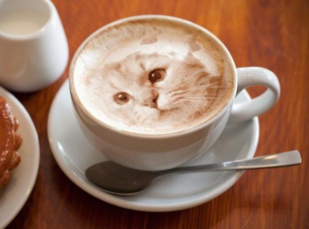 arte-latte-japon-gatos-japonshop02.png