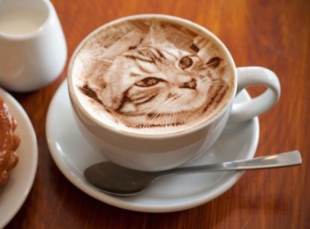 arte-latte-japon-gatos-japonshop03.png