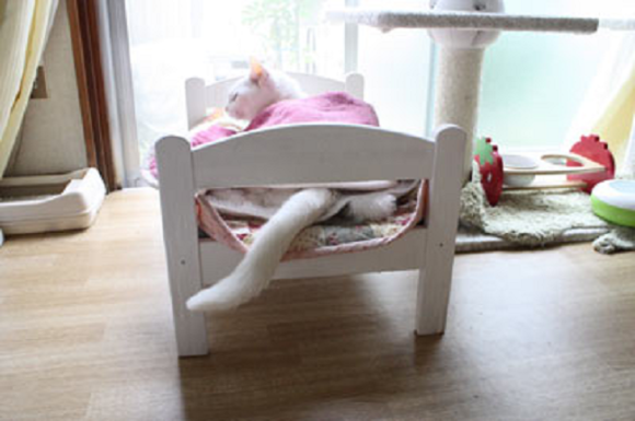 gato-cama-ikea06.png