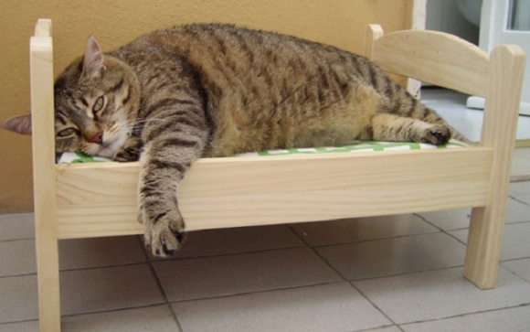 gato-cama-ikea08.png