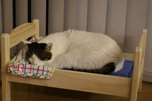 gato-cama-ikea09.png