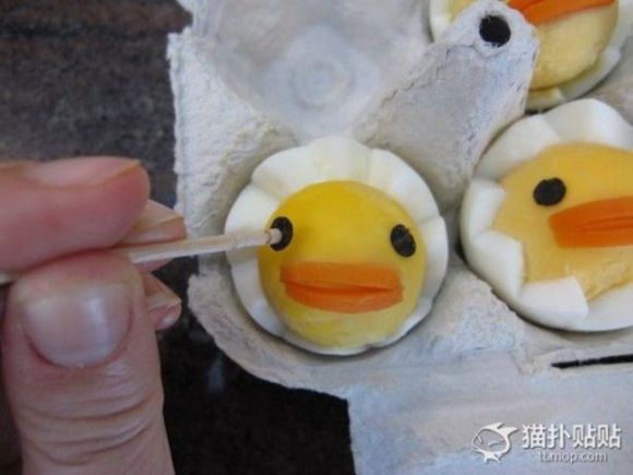 cute-eggs6.jpg