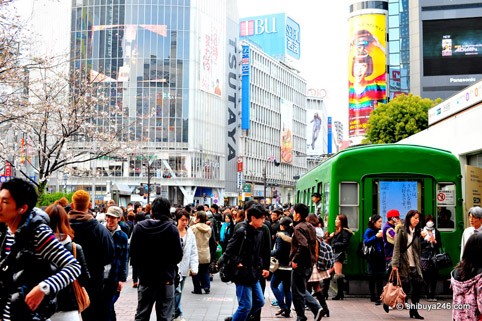 El Hanami ya ha llegado a Shibuya