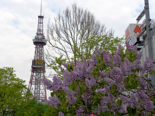 Sapporo Terebi-to, la Torre Gemela de la Tokyo Tower