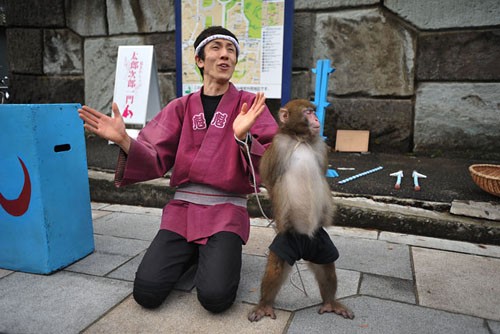 Sarumawashi y sus monos acróbatas