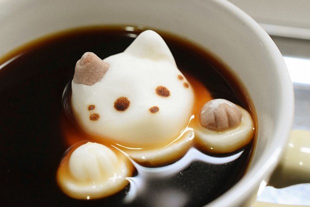 Gatitos bañandonse en el café