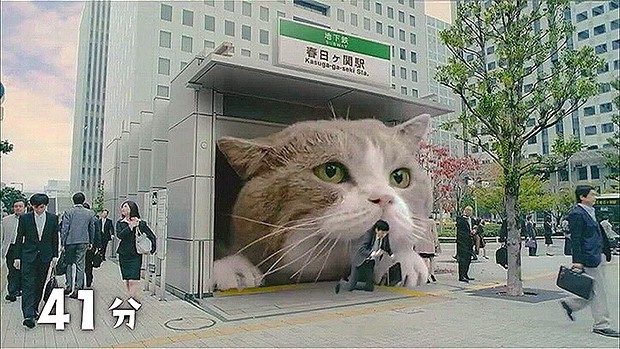 El anuncio japonés del momento, está protagonizado por un adorable gato gigante