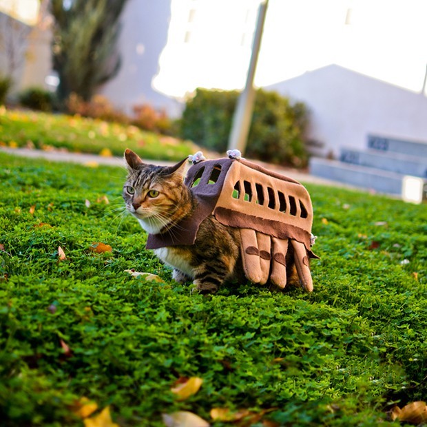 "Nekobasu", el “Gato Bus” de Totoro...Visto en un jardín!!