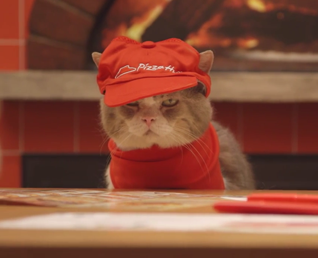 Los nuevos empleados felinos de "Pizza Hut" Japón (Vídeos)