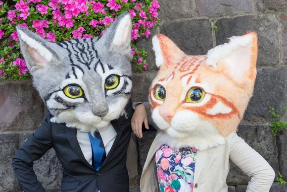 Visto en Japón cabezas de gatos gigantes