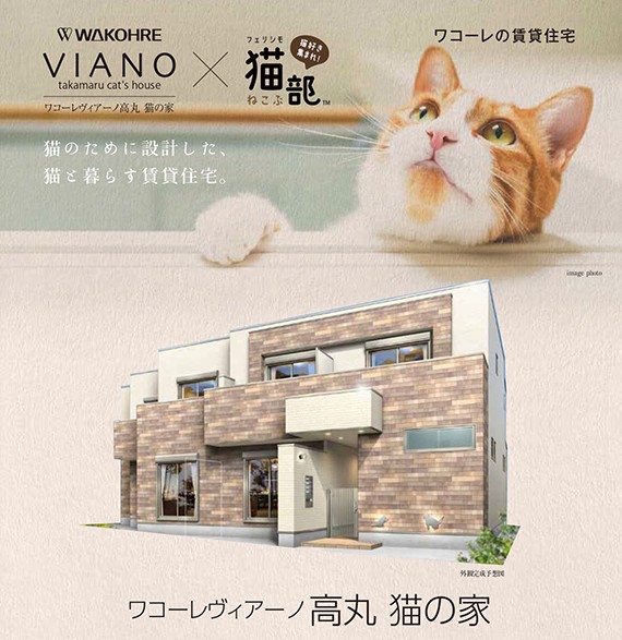 Casas neko friendly, nueva tendencia de construcción en Japón, especial para gatos!
