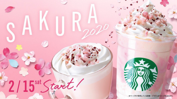Hanami 2020! Cerezos en flor con los primeros frapuccinos de Starbucks!