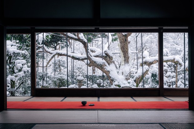 Un paseo de invierno por Kyoto nevado y un poco de Hanami con nieve!