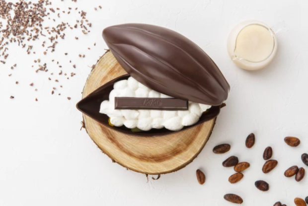 Cocoa pod o vaina de Chocolte, el último postre definitivo de Kit Kat Japón!