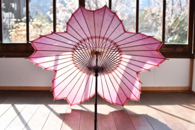 Sombrilla Sakura Blossom, la sombrilla perfecta para el Hanami!
