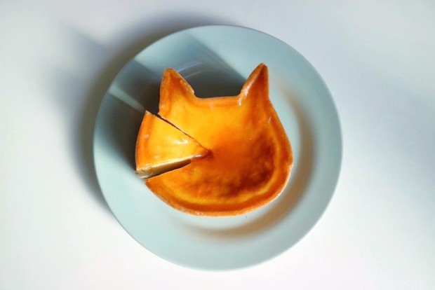 ¡Neko Neko Cheese-cake el pastel con forma de gato que arrasa en Japón!