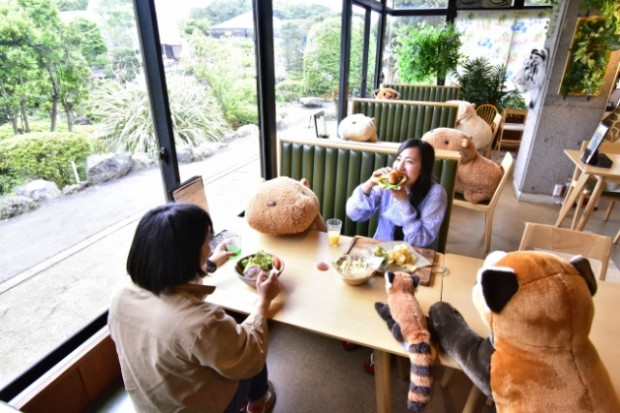 ¡Distancia Social en restaurante japonés con peluches de Capibaras!