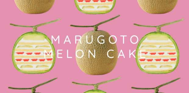 Marugoto Melon Cake los nuevos pasteles de frutas que te sorprenderán.