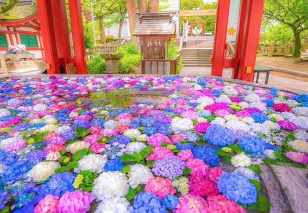 La tradición se encuentra con el verano en los arreglos florales de los templos