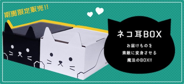 ¡Servicio de paquetería en Japón tiene las cajas más molonas para tus envíos!